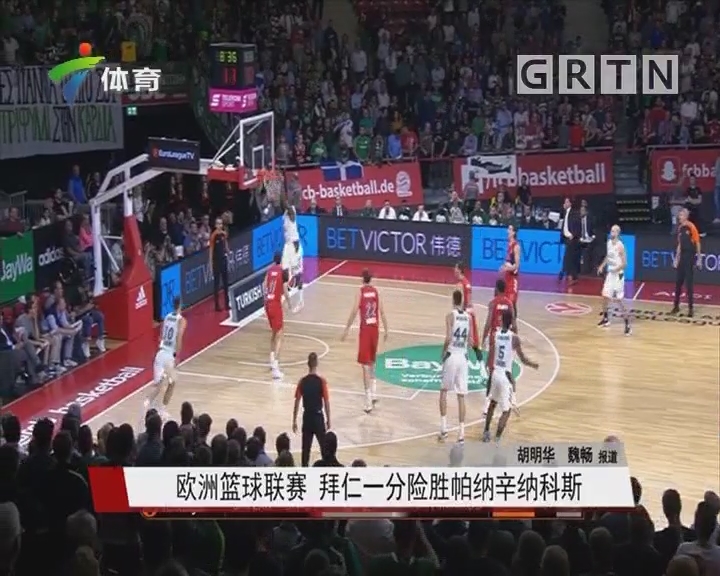 世界篮球五大最强国家分析（全球篮球五强国实力盘点）