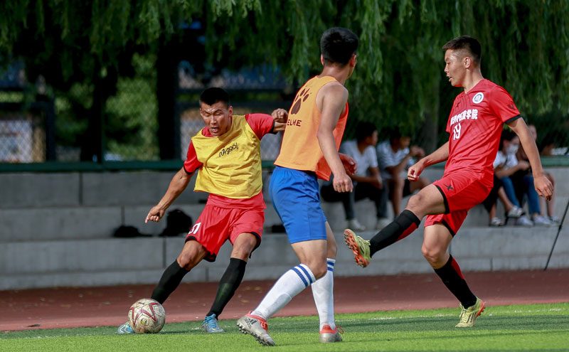 世界杯抽签倒计时！意大利晋级将入第四档，有望诞生超级死亡之组（世界杯抽签在即：意大利若晋级将被分入第四档，超级死亡之组或现身）